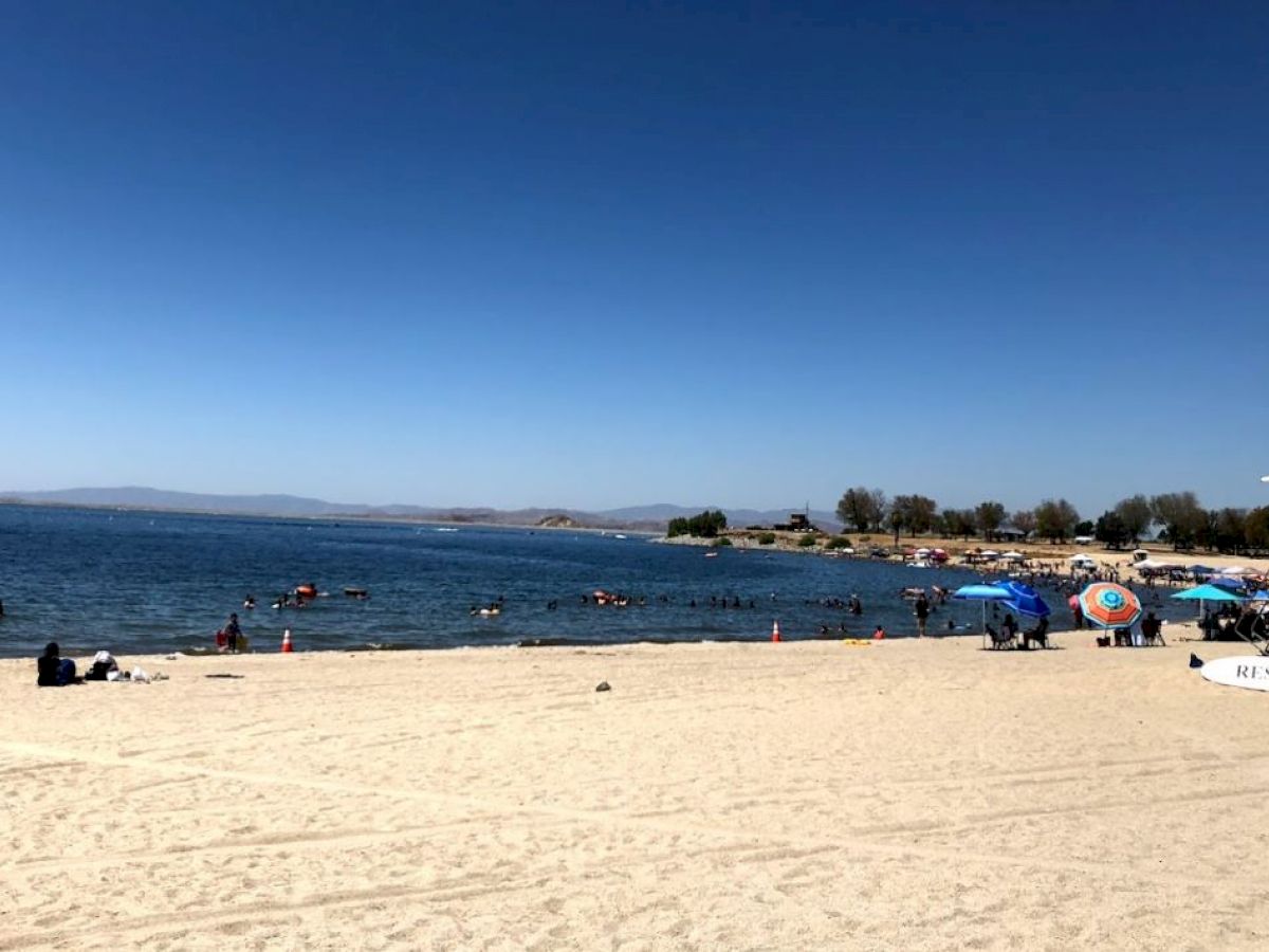 A sunny beach scene with people playing in the water, boats docked, and umbrellas on the sandy shore, with trees in the background.